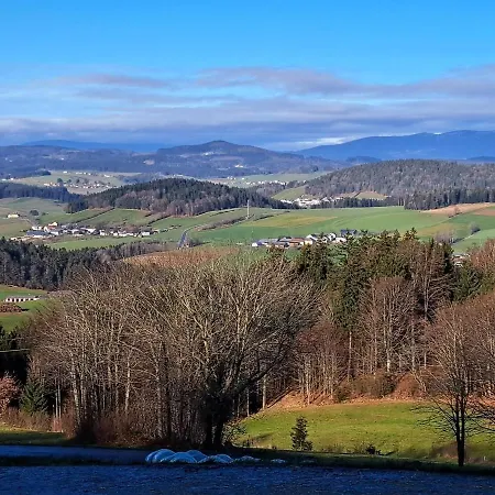Ameisberger - Appartement