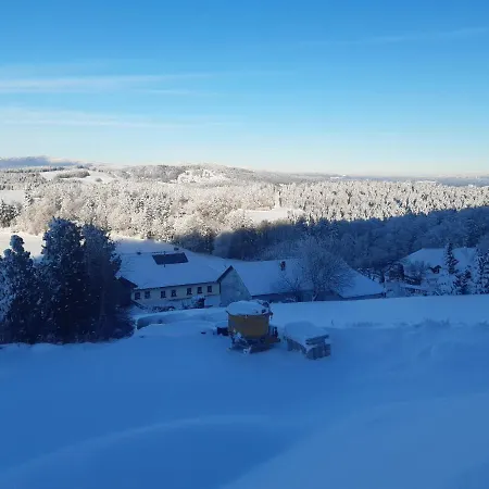 Ameisberger - Appartement