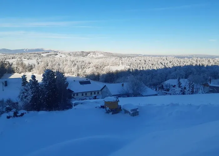 Ameisberger - アパート