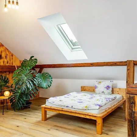 Ameisberger - Apartment *