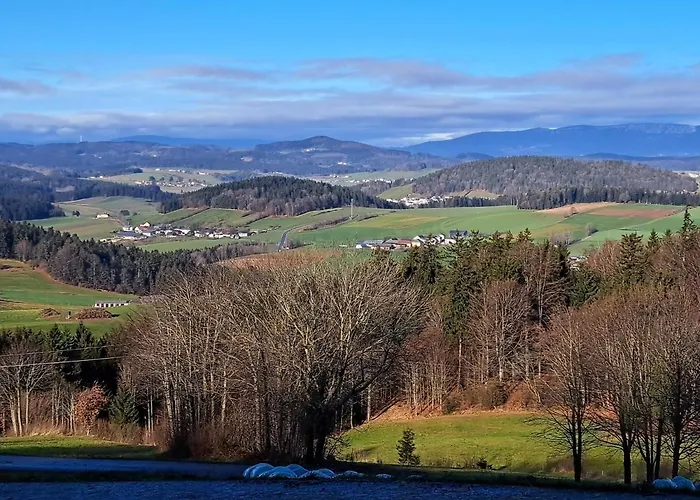 Ameisberger - Apartment