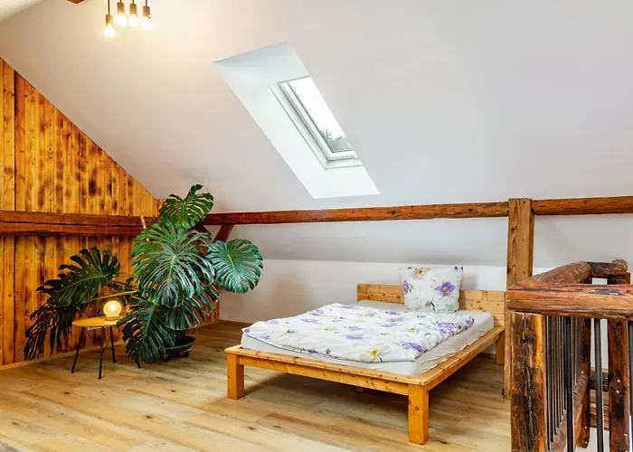 Ameisberger - Apartment *