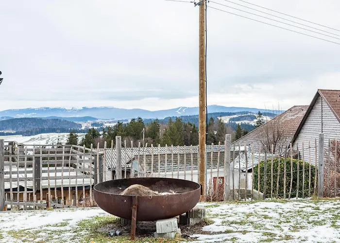 Ameisberger - Apartment Mollmannsreith